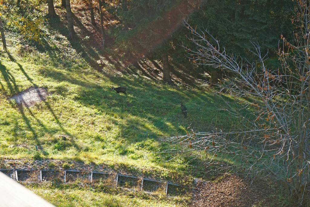 Domaine De La Croix De Javernaz Villars-sur-Ollon Bagian luar foto