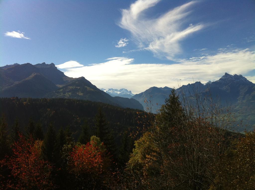 Domaine De La Croix De Javernaz Villars-sur-Ollon Bagian luar foto